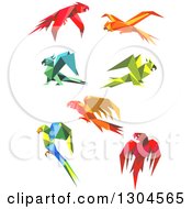 Poster, Art Print Of Origami Paper Parrots 4