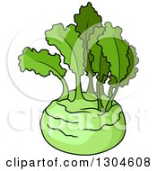 Poster, Art Print Of Lush Green Kohlrabi