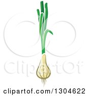 Clipart Of Green Onions Or Scallions Royalty Free Vector Illustration by Vector Tradition SM