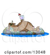 Happy Cow Drinking A Beverage And Relaxing On A Floatation In A Swimming Pool