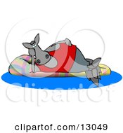 Poster, Art Print Of Happy Horse Relaxing On A Floatation In A Swimming Pool