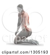Clipart Of A 3d Anatomical Man Kneeling On The Floor With Visible Muscles And Spine Royalty Free Illustration