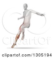 Clipart Of A 3d Anatomical Man Jumping And Landing With Visible Leg Muscles And Bone Royalty Free Illustration