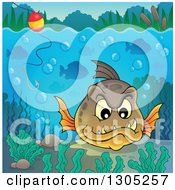 Poster, Art Print Of Carnivorous Piranha Fish Underwater With A Hook And Visible Surface