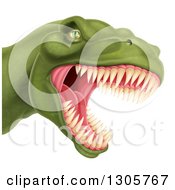 3d Roaring Angry Green Tyrannosaurus Rex Dino Head