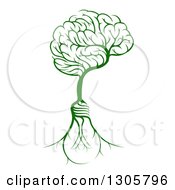 Poster, Art Print Of Green Tree With Electric Light Bulb Roots And A Brain Canopy