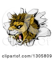 Poster, Art Print Of Fierce Roaring Lion Mascot Head Breaking Through A Wall