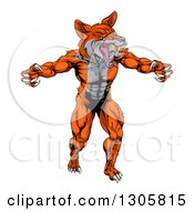 Clipart Of A Muscular Fox Man Mascot Lunching Forward To Attack Royalty Free Vector Illustration