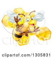 Cute Friendly Bee Over Honeycombs