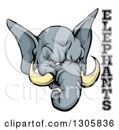 Poster, Art Print Of Vicious Gray Elephant Mascot Head And Text