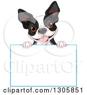 Cute Boston Terrier Or French Bulldog Looking Over A Blank Sign