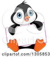 Poster, Art Print Of Cute Baby Penguin Sitting And Holding A Blank Sign