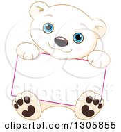 Poster, Art Print Of Cute Baby Polar Bear Cub Sitting And Holding A Blank Sign