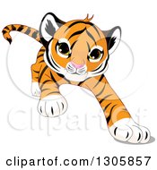 Poster, Art Print Of Cute Playful Tiger Cub Stalking Running Or Pouncing