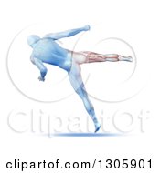 Poster, Art Print Of 3d Blue Anatomical Male Kick Boxing Rear View With Visible Leg Muscles On White