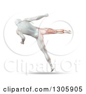Clipart Of A 3d Anatomical Male Kick Boxing Rear View With Visible Skeleton On White Royalty Free Illustration