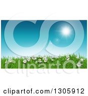 Poster, Art Print Of 3d Sunny Spring Day Background With Blue Sky Daisies And Grass