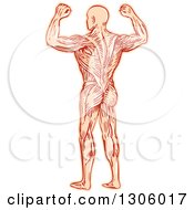 Clipart Of A Sketched Or Engraved Rear View Of A Flexing Man With Visible Muscles Royalty Free Vector Illustration