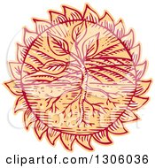 Clipart Of A Sketched Or Engraved Plant In A Field With Roots In A Flower Head Or Sun Royalty Free Vector Illustration