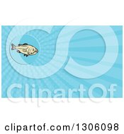Cartoon Largemouth Bass Fish And Blue Rays Background Or Business Card Design