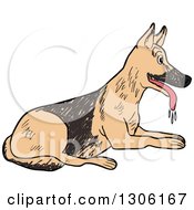 Poster, Art Print Of Sketched Resting And Panting German Shepherd Dog