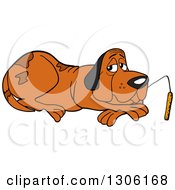 Cartoon Hound Dog Resting And Nibbling On A Cattail