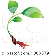 Clipart Of A Young Plant And Root Royalty Free Vector Illustration