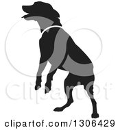 Poster, Art Print Of Black Silhouetted Jumping Dog