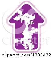 Poster, Art Print Of Spotted Dog In A House Or Arrow Shaped Cage