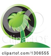 Poster, Art Print Of Green Palm Tree Hill And Black Sun Travel Design