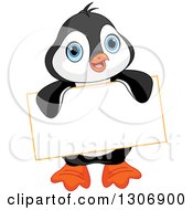 Cute Baby Penguin Holding A Blank Sign