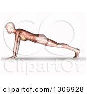 Poster, Art Print Of 3d Anatomical Woman With Visible Muscles Doing Push Ups Or In A Yoga Pose On White
