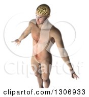 Clipart Of A 3d Nude Anatomical Male With Visible Brain On White Royalty Free Illustration