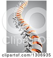 3d Human Spine With Discs Highlighted Over Gray