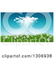 Poster, Art Print Of 3d Sunny Spring Day Background With Blue Sky A Rain Cloud Daisies And Grass