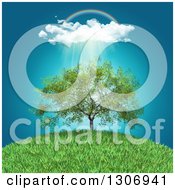 Poster, Art Print Of Rainbow Clouds And Rain Over A 3d Walnut Tree On A Grassy Hill