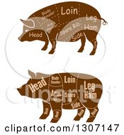 Poster, Art Print Of Brown Silhouetted Pigs With Labeled Pork Cuts