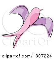 Clipart Of A Sketched Flying Pink And Purple Swallow Bird Royalty Free Vector Illustration