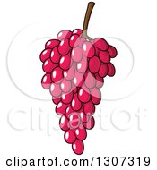 Clipart Of A Cartoon Bunch Of Pink Or Purple Grapes Royalty Free Vector Illustration