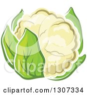 Cartoon White Cauliflower With Green Leaves