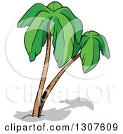 Poster, Art Print Of Cartoon Palm Trees And Shadows
