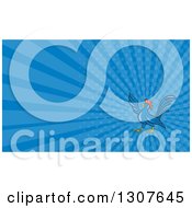 Clipart Of A Cartoon Angry Pointing Blue Rooster And Rays Background Or Business Card Design Royalty Free Illustration