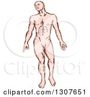 Clipart Of A Sketched Nude Caucasian Man Royalty Free Vector Illustration by patrimonio