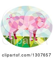 Retro Low Poly Geometric Pink Pig In An Oval
