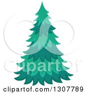 Poster, Art Print Of Lush Evergreen Tree