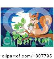 Clipart Of A Cute Forest Squirrel Holding An Acorn On A Tree Branch Over A Forest At Night Royalty Free Vector Illustration by visekart