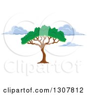 Poster, Art Print Of African Acacia Or Umbrella Tree And Clouds