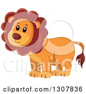 Poster, Art Print Of Wild African Male Lion