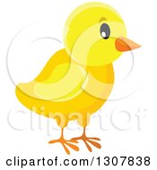 Poster, Art Print Of Cute Yellow Chick