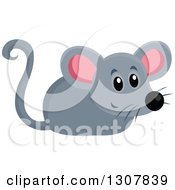 Clipart Of A Cute Gray Mouse Royalty Free Vector Illustration by visekart
